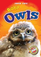 Baby_owls